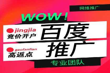 深入了解SEM竞价代运营公司：成功背后的故事